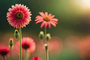 pink flowers in the sun with a blurry background. AI-Generated photo