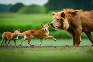 un león y dos perros corriendo en el césped. generado por ai foto