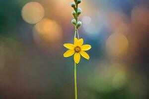 a single yellow flower is standing on a stem. AI-Generated photo