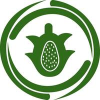 icono de vector de fruta de dragón