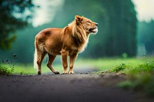 a lion standing on a road in the middle of a forest. AI-Generated photo