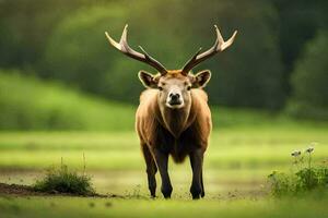 a deer with large horns standing in the grass. AI-Generated photo