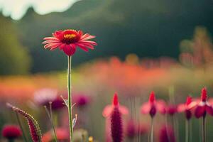 foto fondo de pantalla el cielo, flores, el campo, el sol, el flores, el campo,. generado por ai