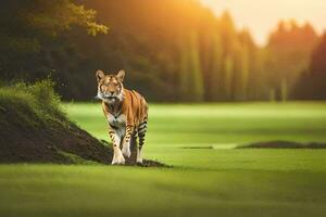 the tiger is walking on the grass in the sun. AI-Generated photo