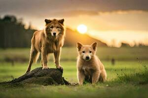 dos perros en pie en un rock en un campo a puesta de sol. generado por ai foto