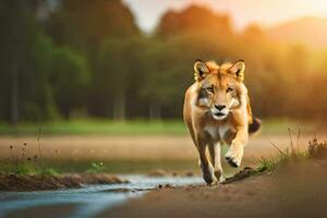 a wolf running across a field at sunset. AI-Generated photo