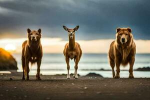 Tres ciervo y un león en pie en el playa. generado por ai foto