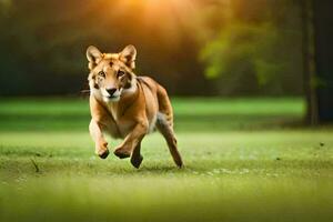 a dog running in the grass. AI-Generated photo
