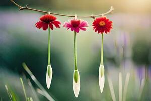 three flowers hanging from a branch with a green background. AI-Generated photo