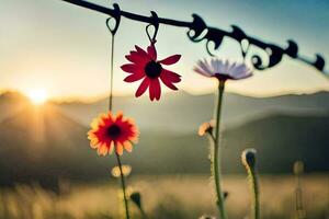 foto fondo de pantalla el cielo, flores, el sol, flores, el campo, el montañas, el. generado por ai