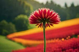 a single red flower stands in front of a field of colorful flowers. AI-Generated photo