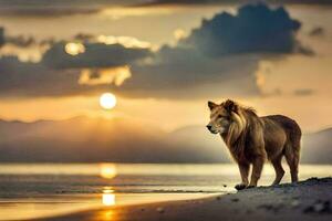 the lion is standing on the beach at sunset. AI-Generated photo