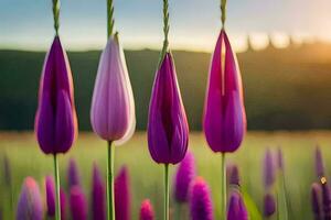 cuatro púrpura flores son en pie en un campo. generado por ai foto