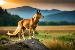 a dog standing on a rock in the middle of a field. AI-Generated photo