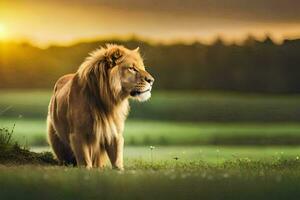 the lion is standing in the middle of a field at sunset. AI-Generated photo