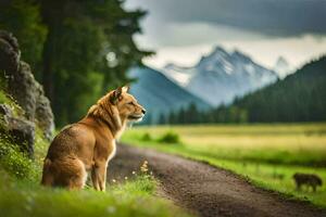 un perro sentado en el lado de un la carretera en frente de montañas. generado por ai foto