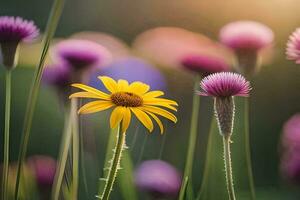 yellow flower in the sun by james watson. AI-Generated photo