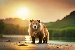 a bear standing on the beach at sunset. AI-Generated photo