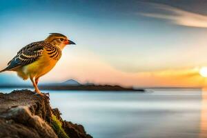 a bird is standing on a rock at sunset. AI-Generated photo