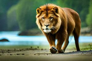 a lion walking on the beach near a river. AI-Generated photo