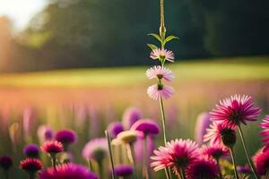 rosado flores en un campo con un Dom brillante. generado por ai foto