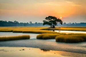 a tree and marsh at sunset in the marsh. AI-Generated photo