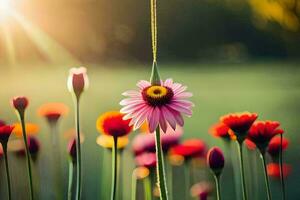 a flower hanging from a vine in a field. AI-Generated photo