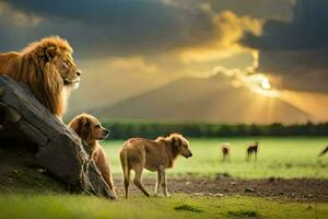 leones en el salvaje. generado por ai foto