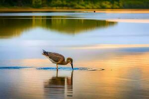 a bird is standing in the water at sunset. AI-Generated photo