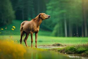 un perro en pie en el césped cerca un arroyo. generado por ai foto