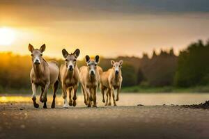 a group of horses running across a field at sunset. AI-Generated photo