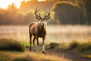 a deer is walking along a path in the woods. AI-Generated photo