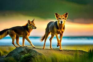 dos perros en pie en un rock en frente de el océano. generado por ai foto