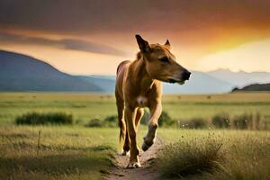 a brown horse running across a field at sunset. AI-Generated photo