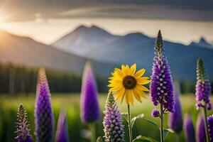 sunflower in the field, mountains, purple flowers, flowers, nature, hd wallpaper. AI-Generated photo