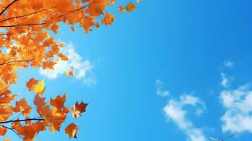 Autumn leaves with sky background. photo