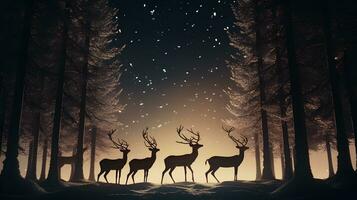 Reindeers in jungle at winter night photo