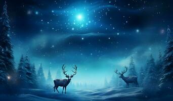 Two reindeers in jungle at winter night photo