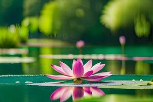 rosado loto flor en el agua con verde hojas. generado por ai foto