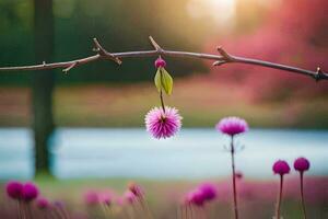 a pink flower is hanging from a branch in front of a pond. AI-Generated photo