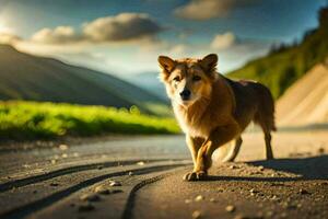 a dog walking on a road in the mountains. AI-Generated photo