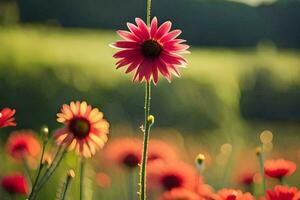 red flowers in a field with a blurry background. AI-Generated photo