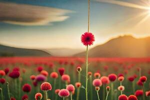 un rojo flor en un campo con el Dom ajuste detrás él. generado por ai foto