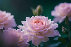 rosado rosas son floreciente en el jardín. generado por ai foto