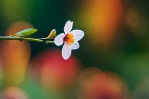 a single white flower is on a stem in front of a blurred background. AI-Generated photo