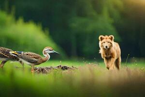 un león y dos aves en el salvaje. generado por ai foto