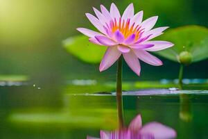 a pink lotus flower is floating in the water. AI-Generated photo