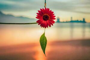 a red flower hanging from a string with a city in the background. AI-Generated photo