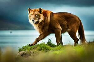 un león caminando en el césped cerca el agua. generado por ai foto