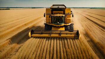 combinar segador trabajando en trigo campo. cosecha concepto. ai generativo foto